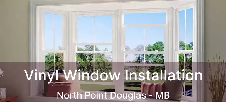  Vinyl Window Installation North Point Douglas - MB