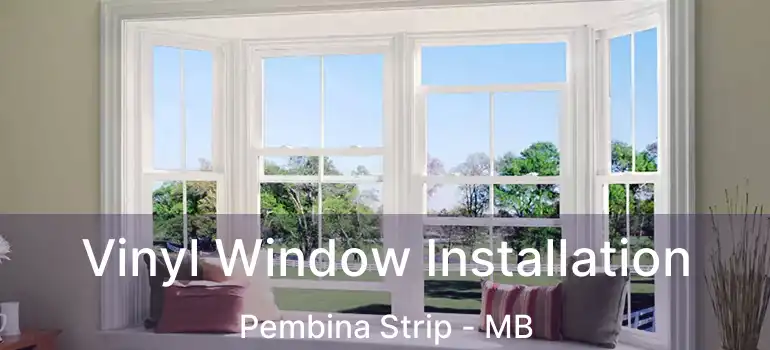  Vinyl Window Installation Pembina Strip - MB