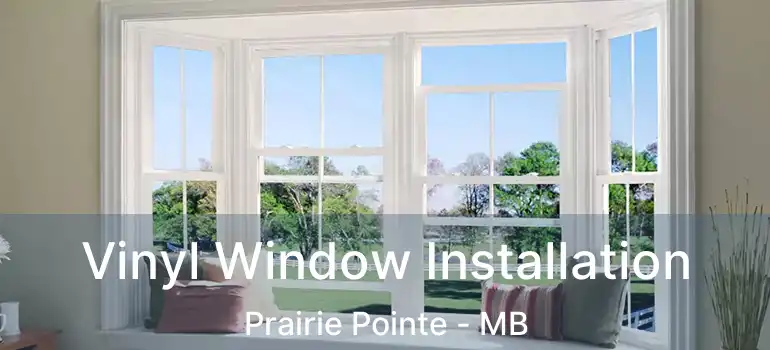  Vinyl Window Installation Prairie Pointe - MB