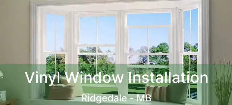  Vinyl Window Installation Ridgedale - MB