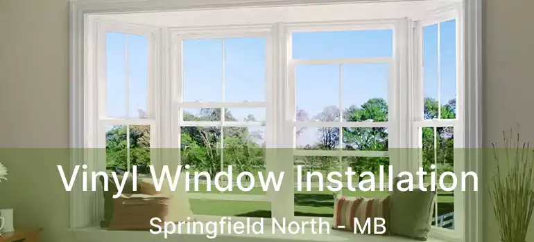  Vinyl Window Installation Springfield North - MB