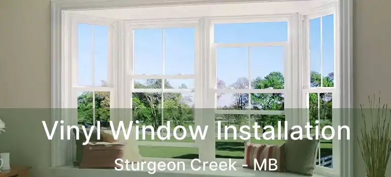  Vinyl Window Installation Sturgeon Creek - MB