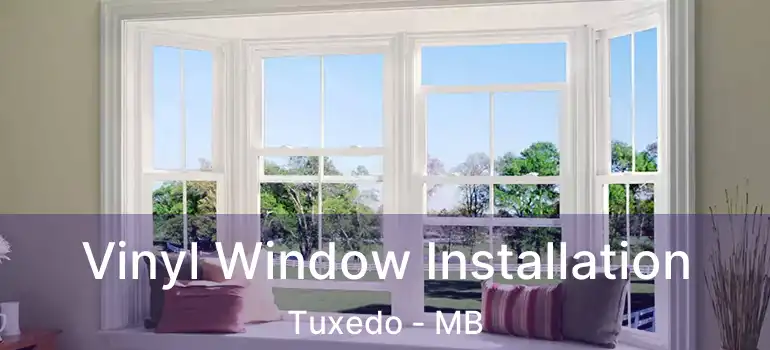  Vinyl Window Installation Tuxedo - MB