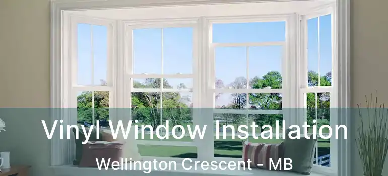  Vinyl Window Installation Wellington Crescent - MB