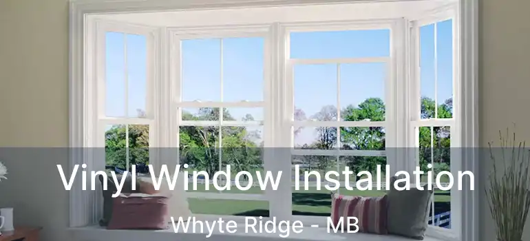  Vinyl Window Installation Whyte Ridge - MB