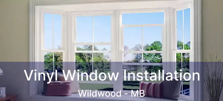  Vinyl Window Installation Wildwood - MB