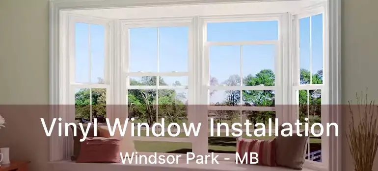  Vinyl Window Installation Windsor Park - MB