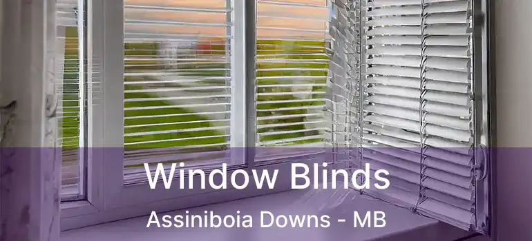  Window Blinds Assiniboia Downs - MB