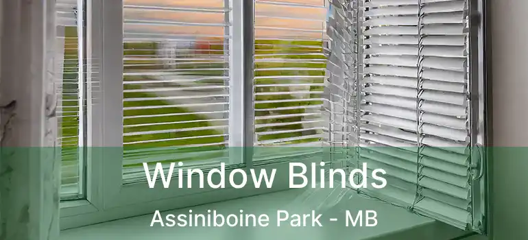  Window Blinds Assiniboine Park - MB