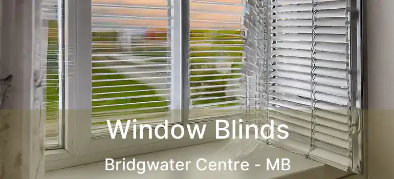  Window Blinds Bridgwater Centre - MB