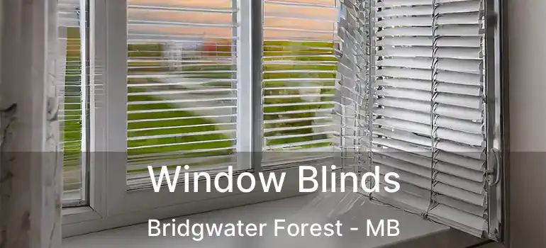  Window Blinds Bridgwater Forest - MB