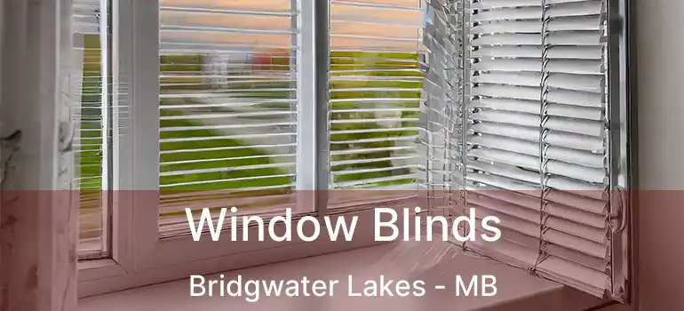  Window Blinds Bridgwater Lakes - MB