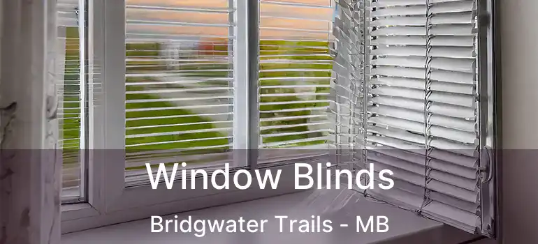  Window Blinds Bridgwater Trails - MB