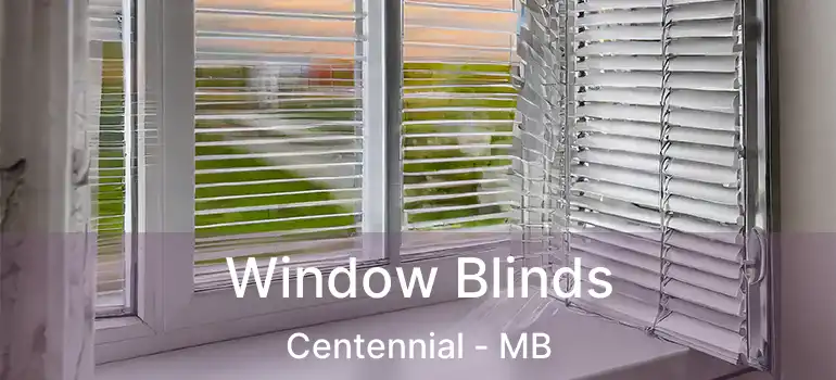  Window Blinds Centennial - MB