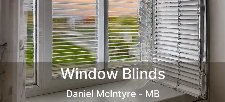  Window Blinds Daniel McIntyre - MB