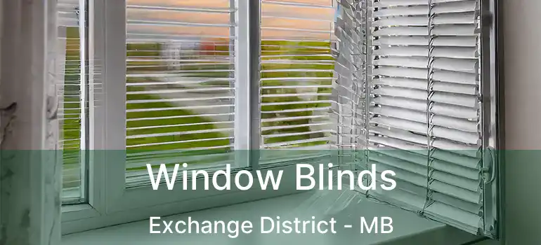  Window Blinds Exchange District - MB