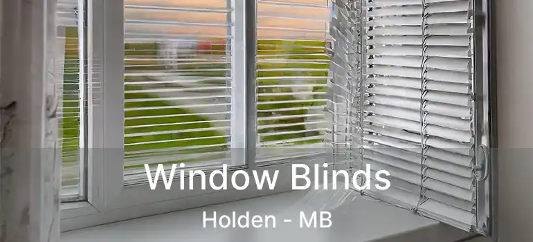  Window Blinds Holden - MB