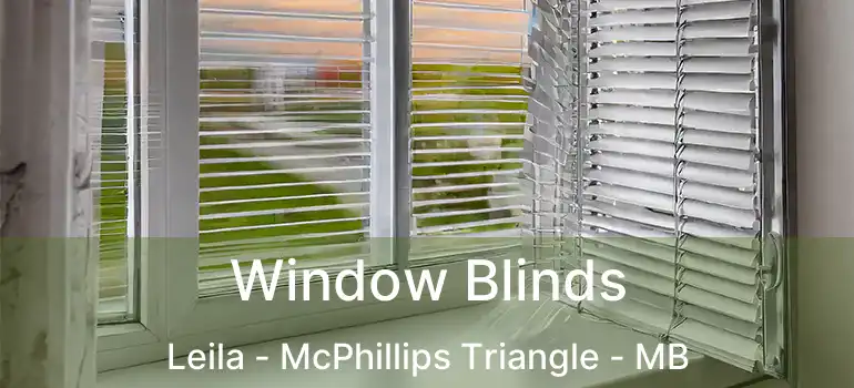  Window Blinds Leila - McPhillips Triangle - MB