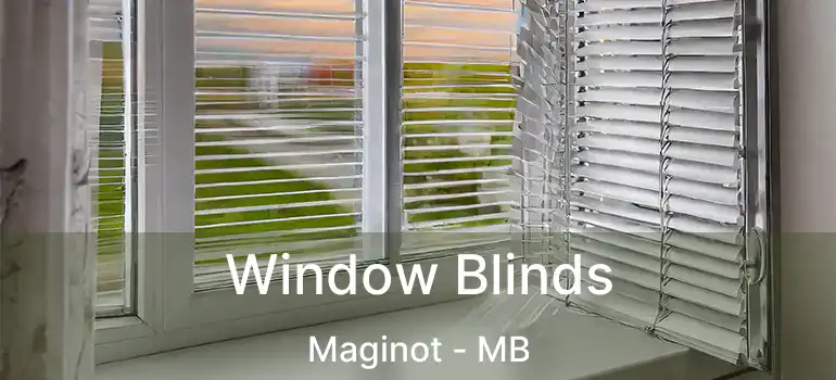  Window Blinds Maginot - MB