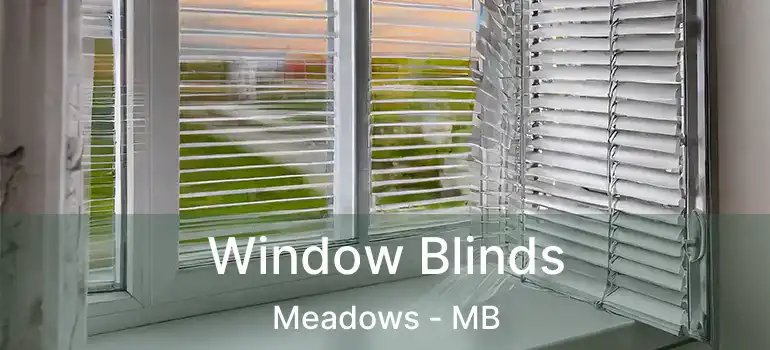  Window Blinds Meadows - MB