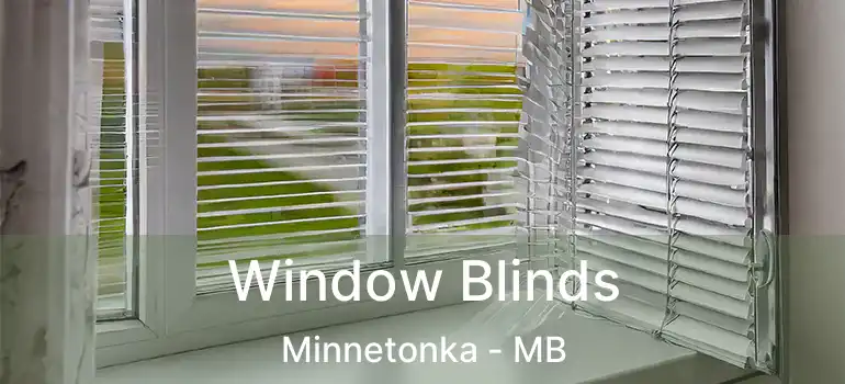  Window Blinds Minnetonka - MB