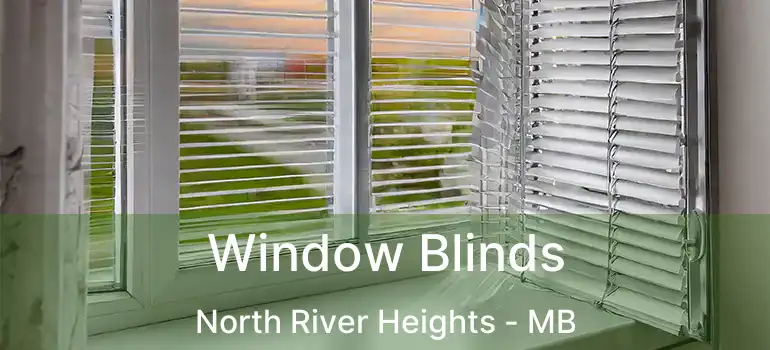  Window Blinds North River Heights - MB