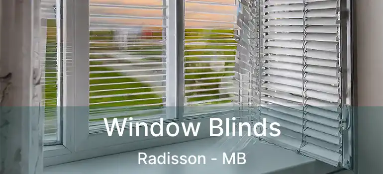  Window Blinds Radisson - MB