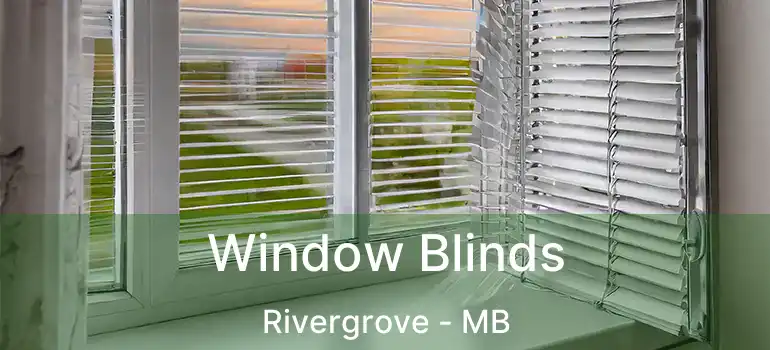  Window Blinds Rivergrove - MB