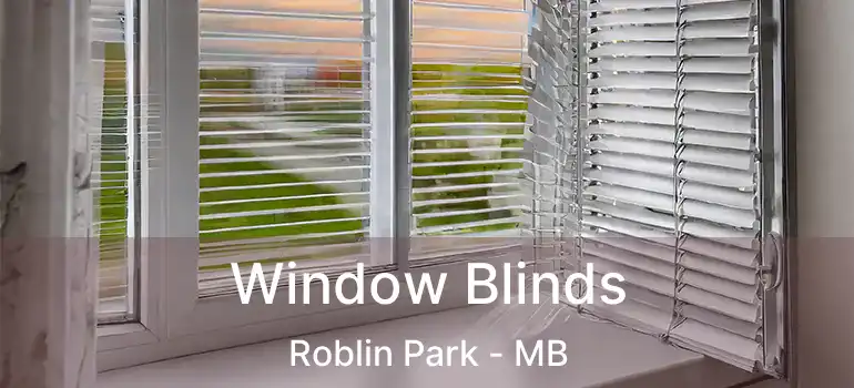  Window Blinds Roblin Park - MB