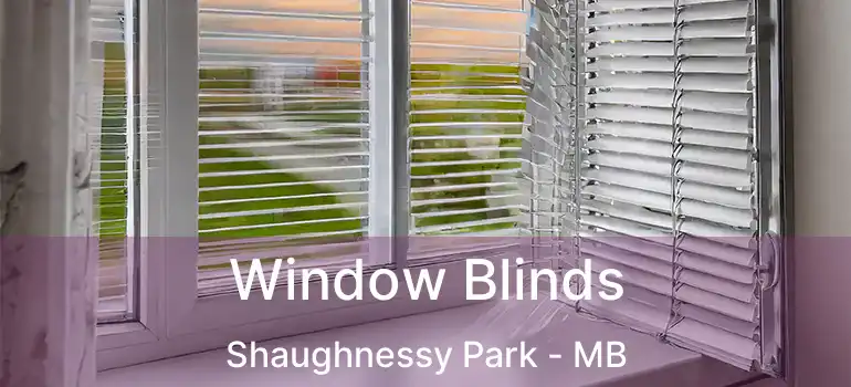  Window Blinds Shaughnessy Park - MB