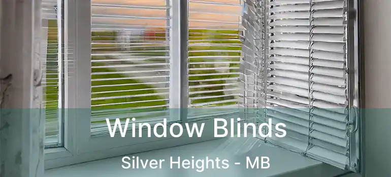  Window Blinds Silver Heights - MB