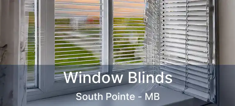 Window Blinds South Pointe - MB
