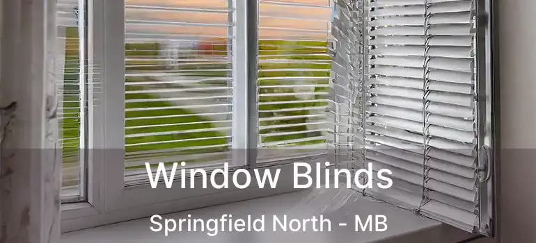  Window Blinds Springfield North - MB