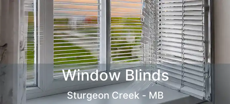  Window Blinds Sturgeon Creek - MB
