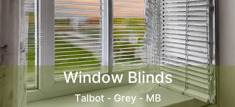  Window Blinds Talbot - Grey - MB