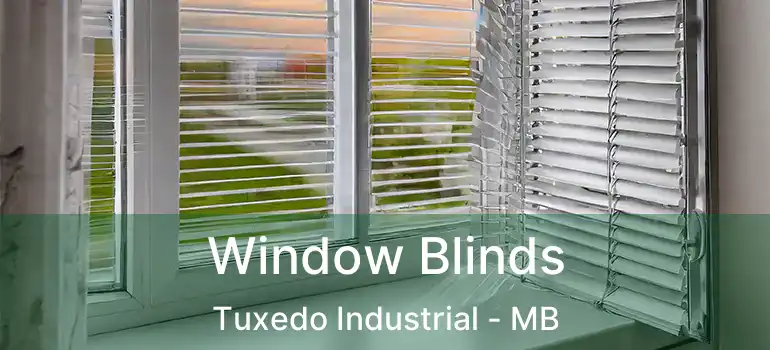  Window Blinds Tuxedo Industrial - MB