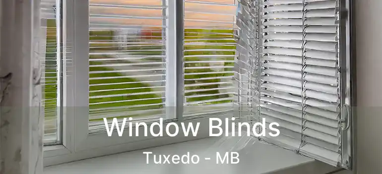  Window Blinds Tuxedo - MB