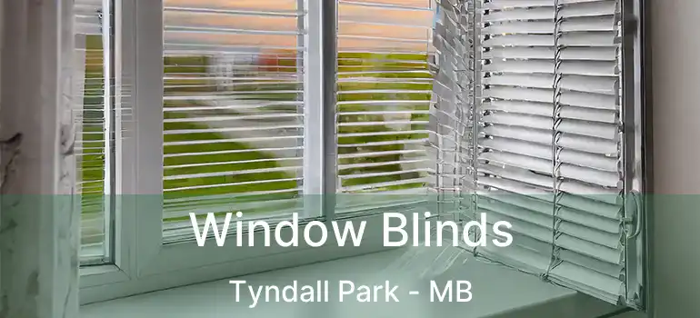  Window Blinds Tyndall Park - MB