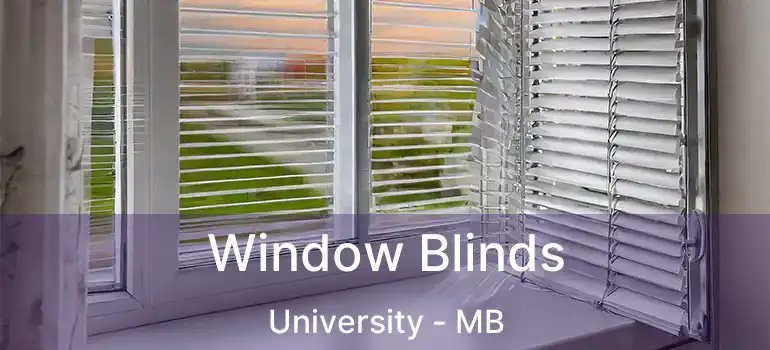  Window Blinds University - MB