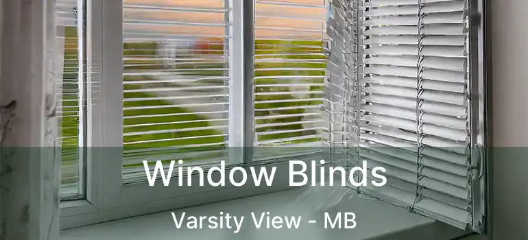  Window Blinds Varsity View - MB
