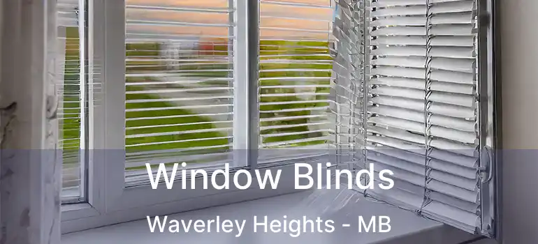  Window Blinds Waverley Heights - MB
