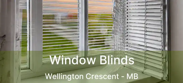  Window Blinds Wellington Crescent - MB