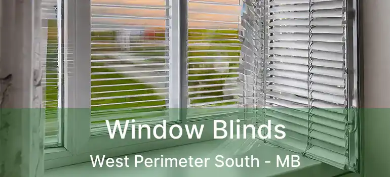  Window Blinds West Perimeter South - MB
