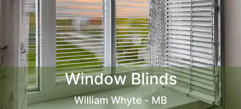  Window Blinds William Whyte - MB