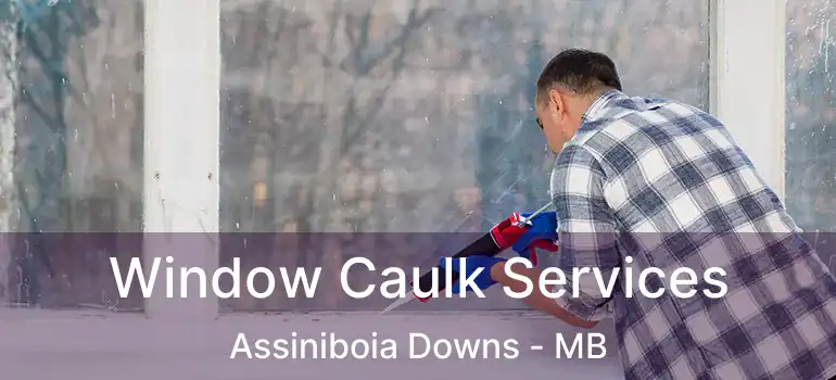 Window Caulk Services Assiniboia Downs - MB
