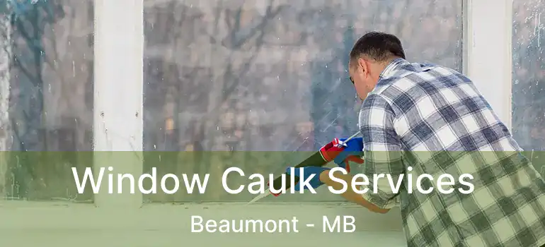  Window Caulk Services Beaumont - MB