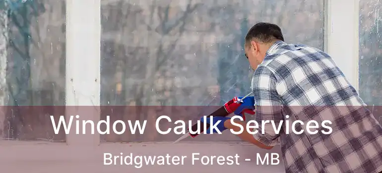 Window Caulk Services Bridgwater Forest - MB