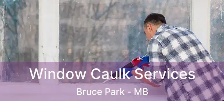  Window Caulk Services Bruce Park - MB