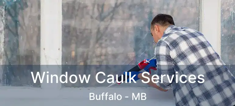  Window Caulk Services Buffalo - MB