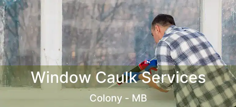  Window Caulk Services Colony - MB